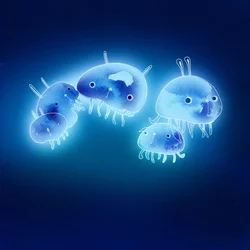 ジェリーフィッシュ、2013（ミックスメディア）